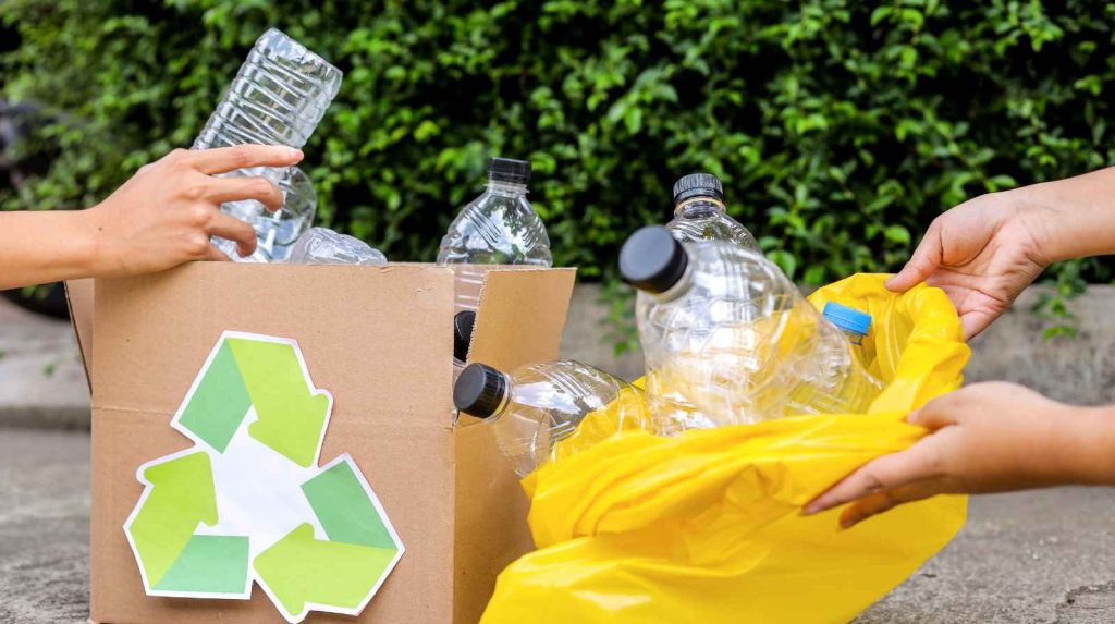 שירותי פינוי פסולת