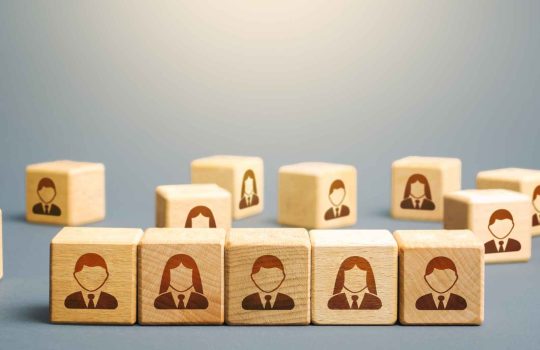 How Do Organizations Successfully Implement Development Personnel for Projects?2