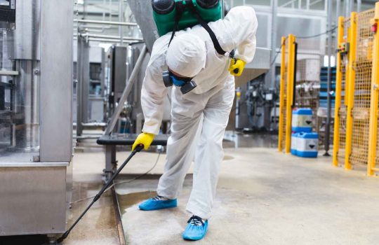 הדברת מזיקים2