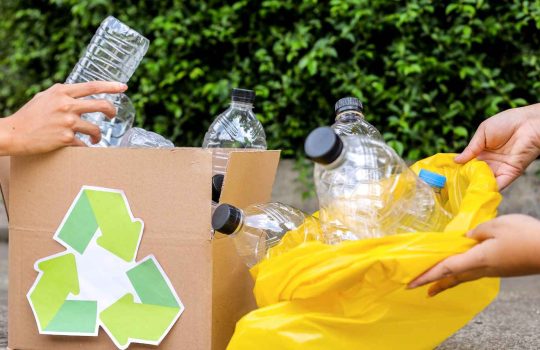 שירותי פינוי פסולת2